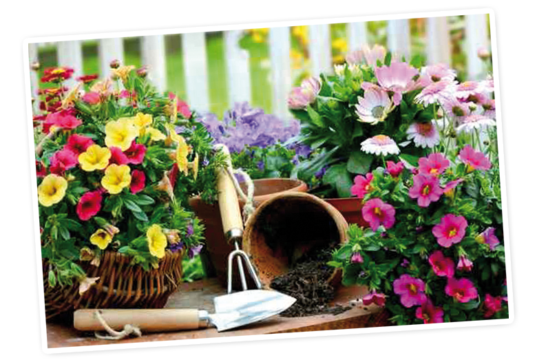A garden scene with a variety of colorful flowers, a pot of soil, and gardening tools.