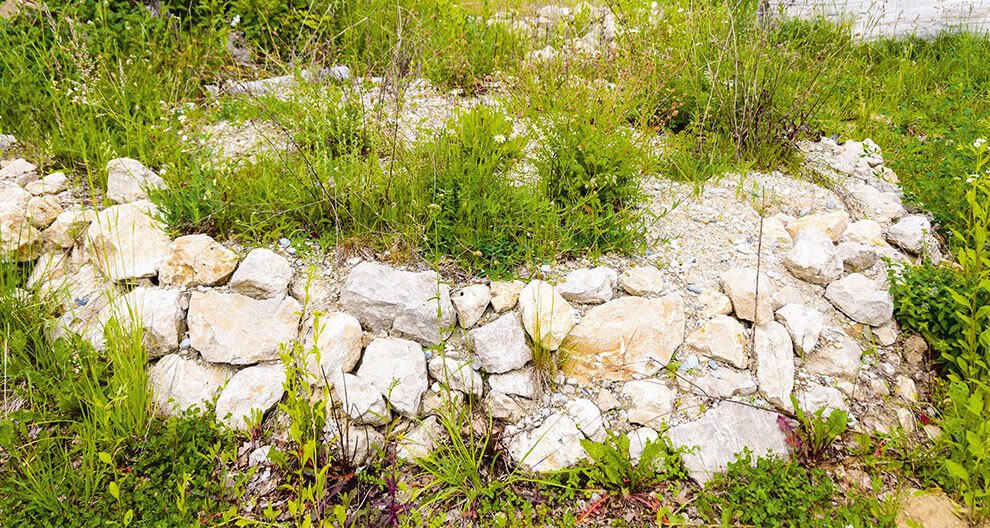 Rocky mound surrounded by greenery.
